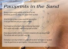 Sands, Quotes, Rainbows Bridges, Pets Loss, At The Beach, Paw Prints ...