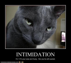 Intimidation is a skill reflecting your ability to frighten or taunt ...