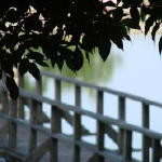 Why Can't She Meet Me Half Way?