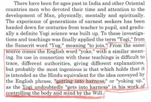 Yoga and climbing: quotes and pix