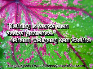 ignorance quotes, quotes on stupidity and ignorance,.
