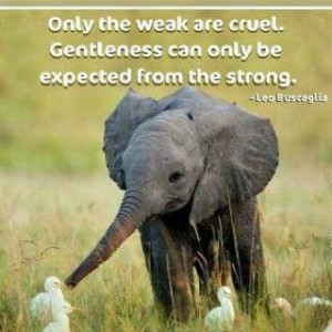 and baby elephants are cute elephant quote poster for baby s nursery ...