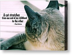 Feline Lover Quotes Canvas Prints - PORCH STRETCH quote Canvas Print ...