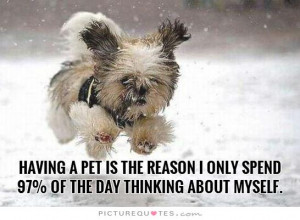 Having a pet is the reason I only spend 97 percent of the day thinking ...