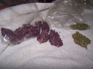 Improve the quality of Scanners Lyrics by leaving a suggestion at the ...