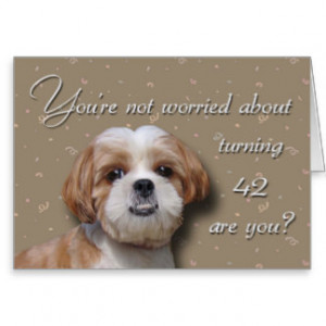 42nd Birthday Dog Greeting Card