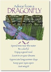 Blank Card with Quote / Saying - Advice from a DRAGONFLY | Your True ...