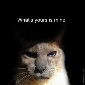 what’s -yours-is mine-cat-quote-cute