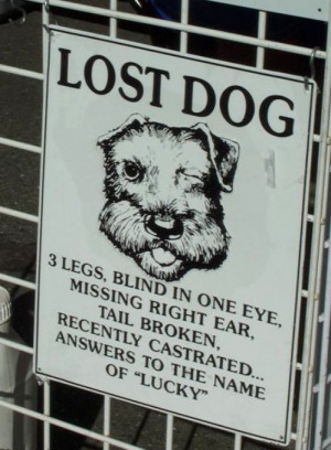 Related Pictures dog quotes loss dog quotes loss dog quotes dog quotes