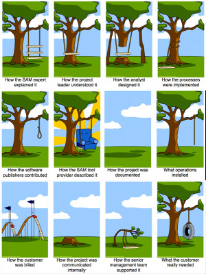 Home » Software Asset Management » SAM Project Pitfalls [Cartoon]