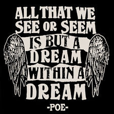 ... POE Dream Within a Dream Quote Shirt, Mens & Womens, Horror Raven