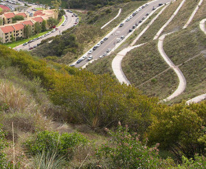 Erosion Control Seeds Credited