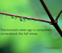 Most popular pictures