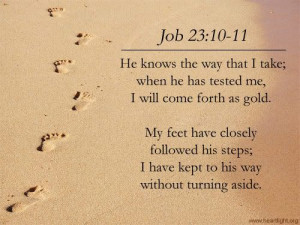Bible Verse from the book of Job