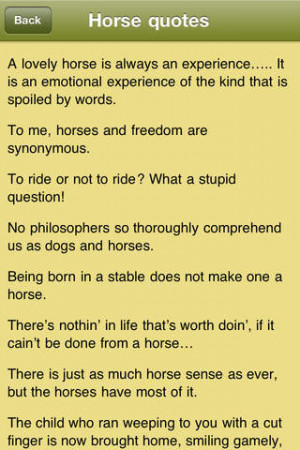 Horse Quotes - Horsemanship Sayings for Equestrians
