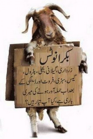 Funny Urdu Quotes by Bakra, Funny Eid ul Adha Urdu Pictures.
