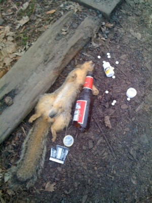 Came across this when I was walking to class hungover…