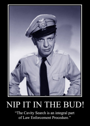 barney fife videos pictures and articles