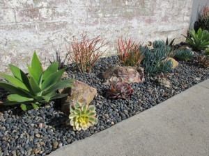 ... landscaping low or no water usage low maintenance child friendly play