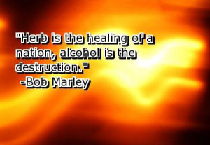 Alcohol Quotes Graphics (21)