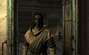 Isikil, my new olive-skinned Bosmer archer who has no concept of ...