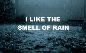 like the smell of rain quotes photography rain