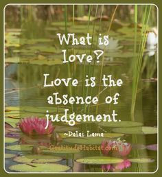 ... at www gratitudehabi # dalai lama # love quote more judgemental quotes