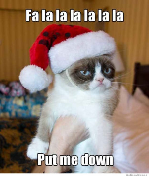 10 Best Grumpy Cat Christmas memes – We all know someone who is ...
