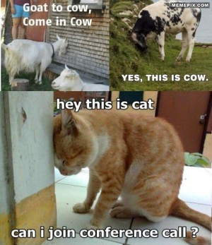 Animal conference call