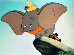 ... Pictures funny baby elephant jumping big ears get down dumbo pics