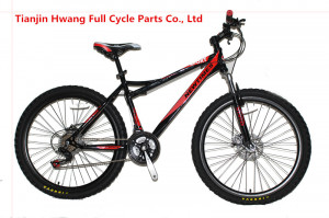Tianjin Hwang Full Cycle Parts Co., Ltd. [Verificado]