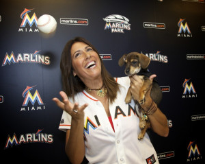 Thread: Do you think the stray dog & cat situation is worse than other ...