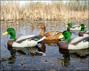 ... Honkers ... Premium Canada Goose Decoys for Demanding Hunters