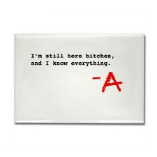 Pretty Little Liars TV Show Rectangle Magnet for