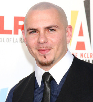 Pitbull the singer/rapper: