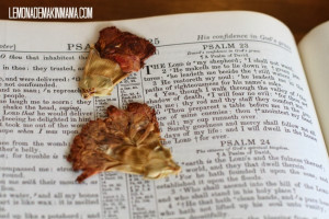 When You Walk Through The Fire