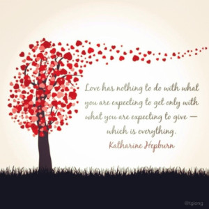 This Day I Married My Best Friend: A Celebration of Love