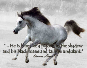 ... continue to ponder poetry and especially the Arabian Horse in Poetry