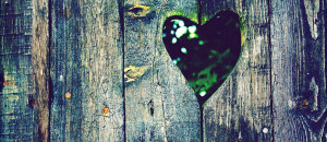 Heart shape fences Facebook cover