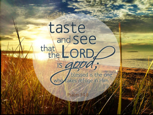 Jesus God love Bible Psalm KJV taste LORD trust