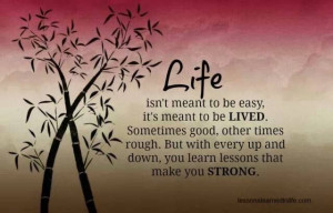 Life isn't meant to be easy...