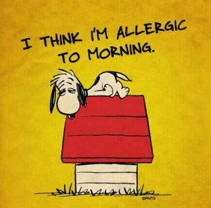... , Quotes, Mondays Mornings, Funny, Night Owl, Morningperson, Snoopy