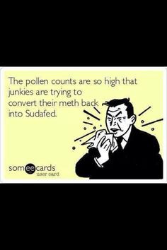 ... more meth head methadonia meth dumb meth haha too funny funny quotes