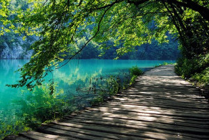 lake, landscape, nature, path, photography, tree