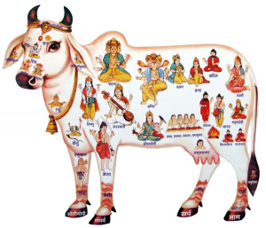 Kamadhenu is also well-known through its other five forms: Nanda ...