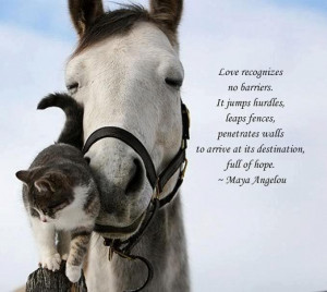 30+ Best Ever Maya Angelou Quotes