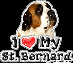 Love My St Bernard Dog Breeds Graphic