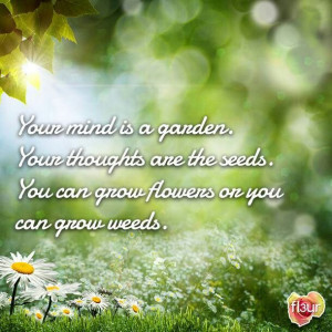 Mind is a garden