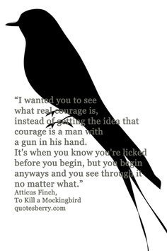 to kill a mockingbird more quotes blog quotes phrases thoughts ...