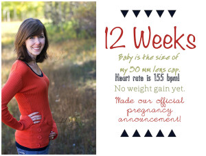 12 Weeks Pregnant (Baby #3)
